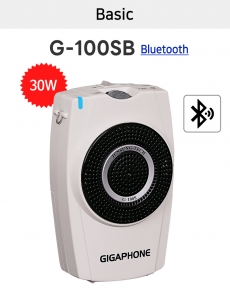G-100S(H)